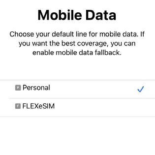 Setting up your iPhone FLEXeSIM Step 4