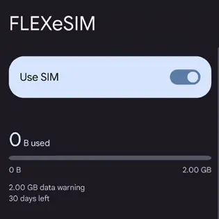 Using your Google Pixel FLEXeSIM Step 3