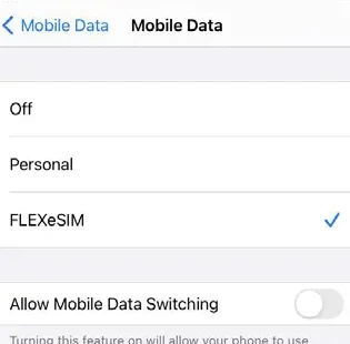 Using your iPhone FLEXeSIM Step 1