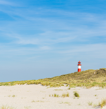 Things To Do In Denmark Blaavand Beach - Discovering Destinations