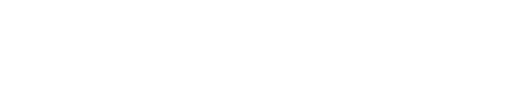 RoamingExpert